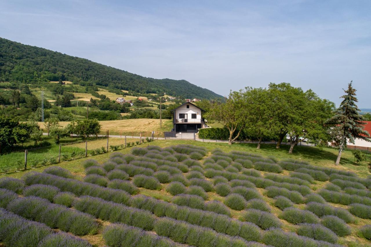 Vacation Home - Nest Kalnik エクステリア 写真