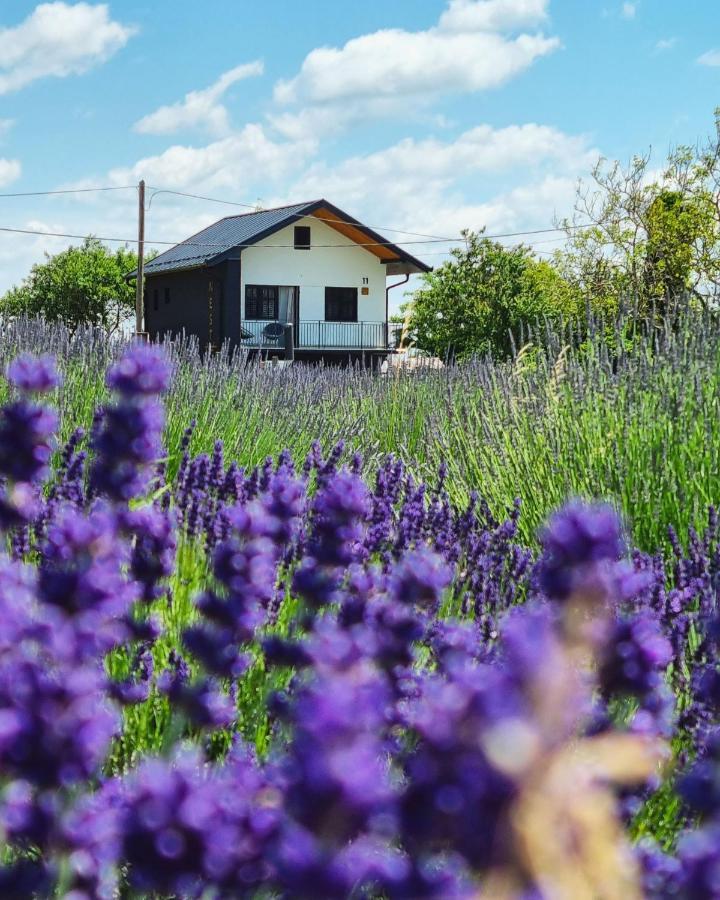 Vacation Home - Nest Kalnik エクステリア 写真