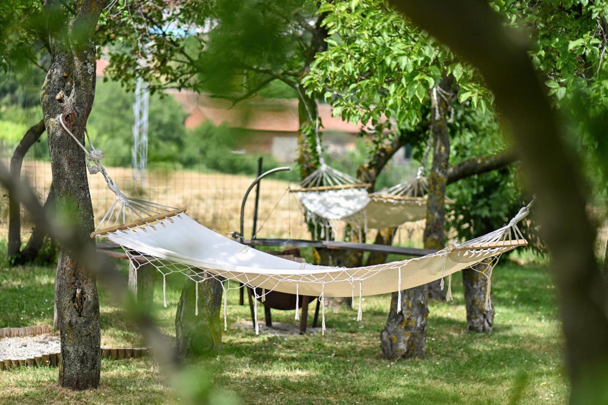 Vacation Home - Nest Kalnik エクステリア 写真