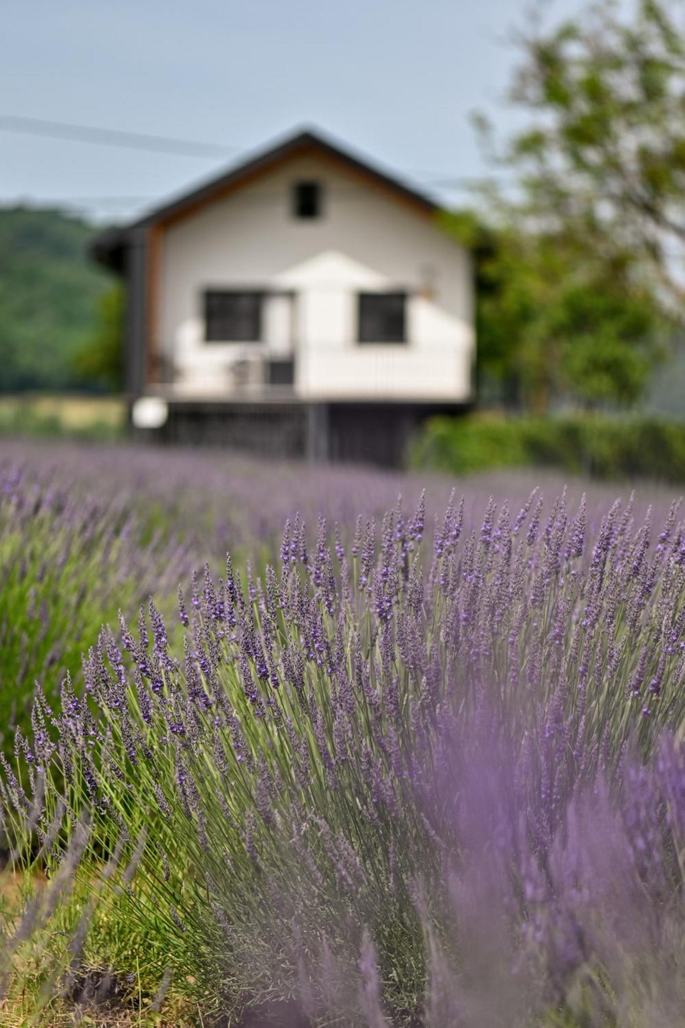 Vacation Home - Nest Kalnik エクステリア 写真