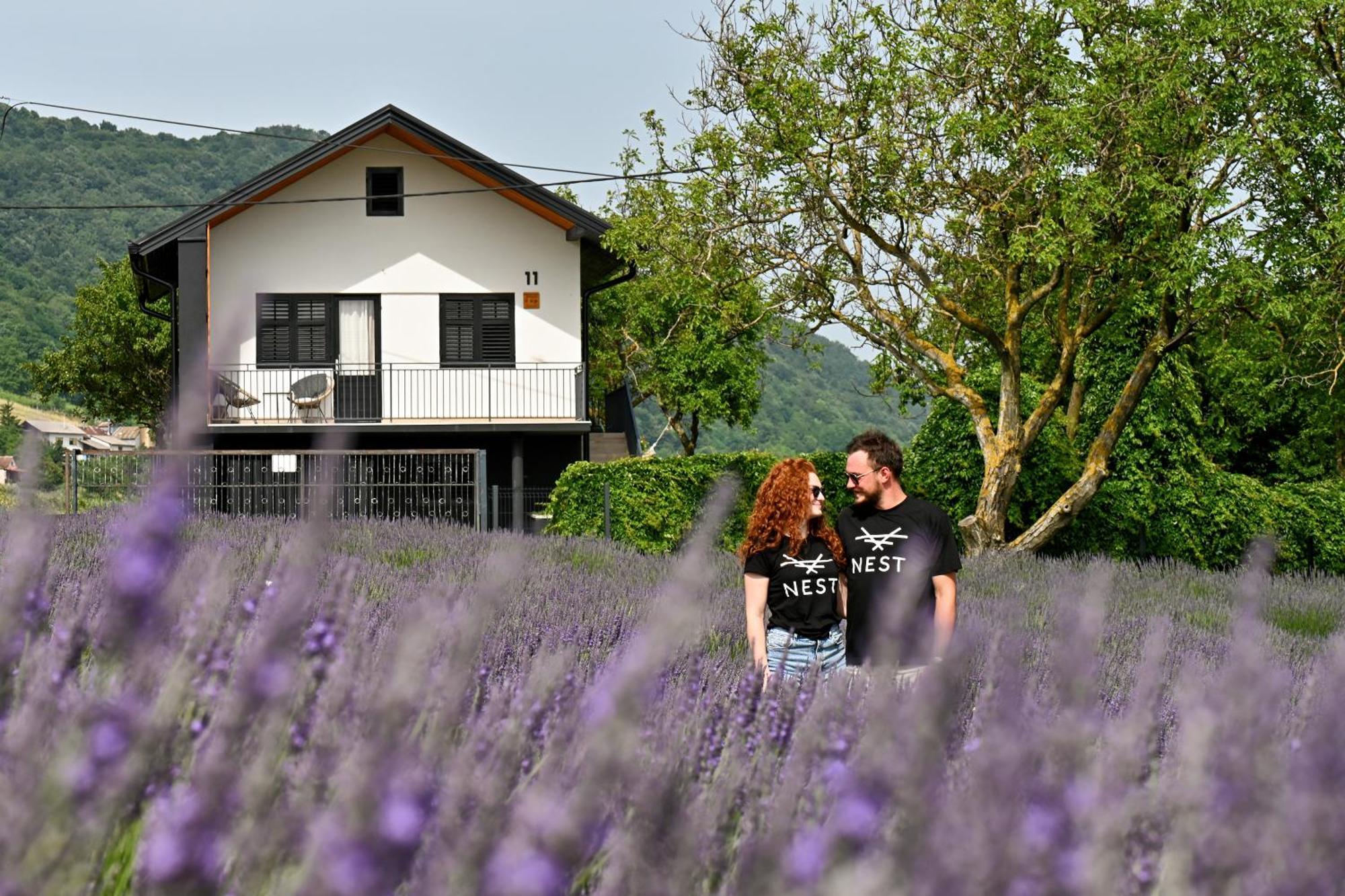 Vacation Home - Nest Kalnik エクステリア 写真